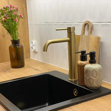 公寓 Studzienna Prestige Old Town *