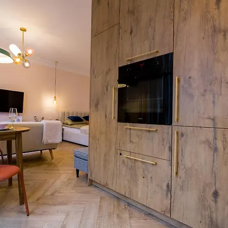 公寓 Studzienna Prestige Old Town 埃尔布隆格